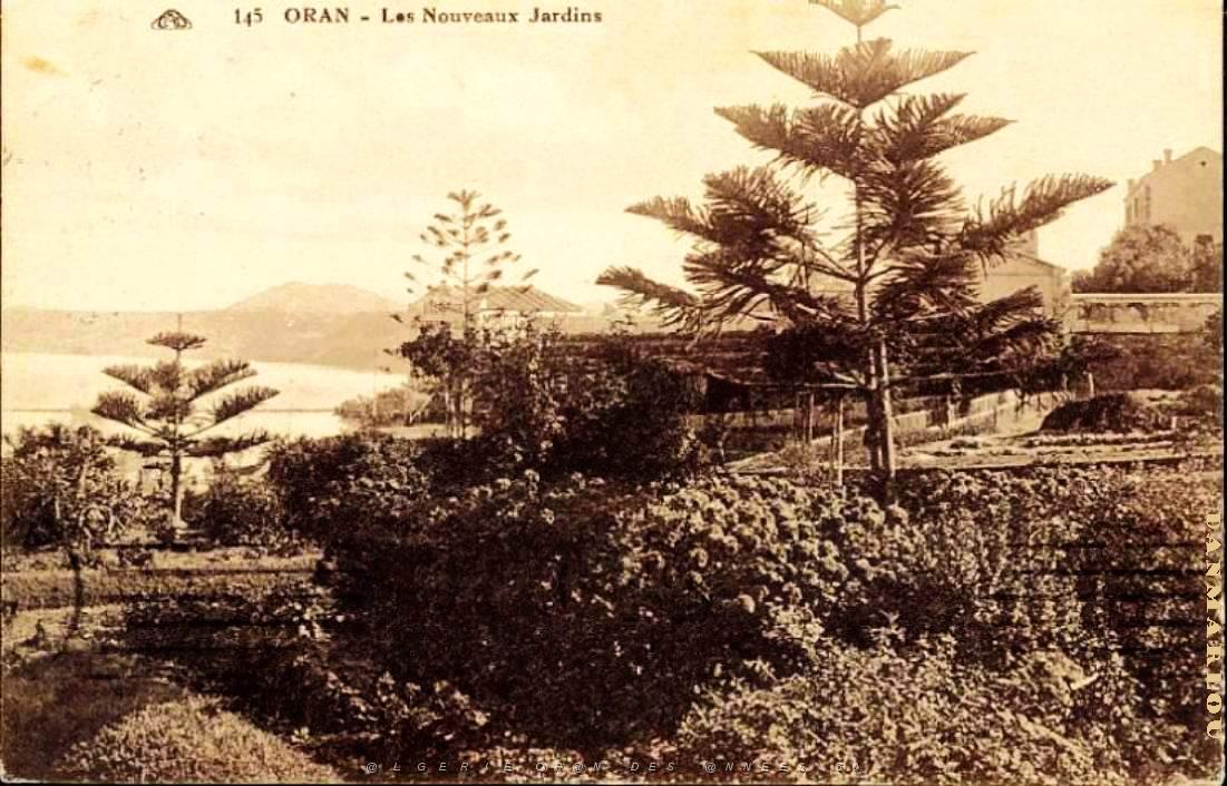 CN ea- 008- Petit Vichy.jpg
